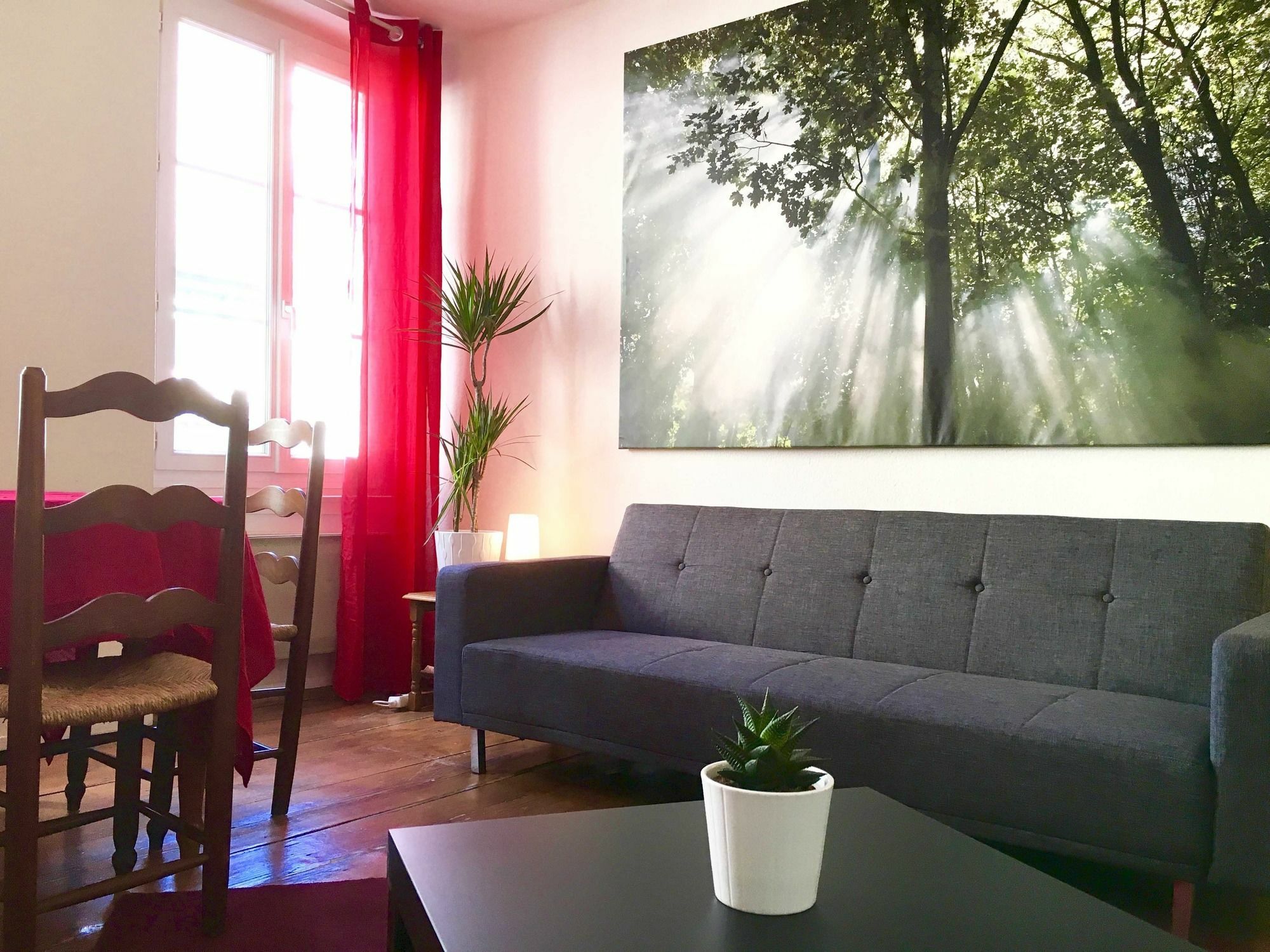 Rue Des Maroquins Appartement Strasbourg